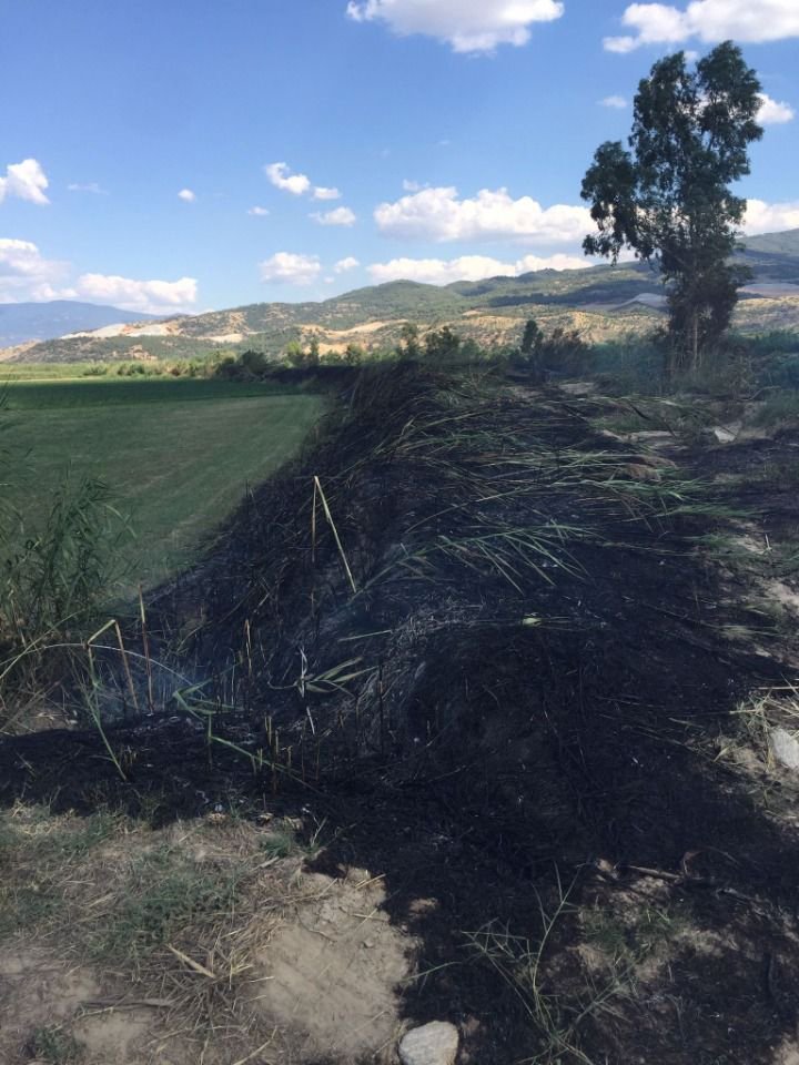 Alevlerin ortasında kalan 3 yavru köpekten 1’i öldü