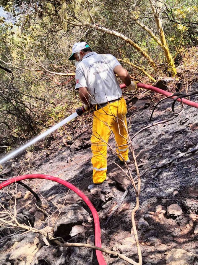 Ateş kahramanları canla başla mücadele veriyor