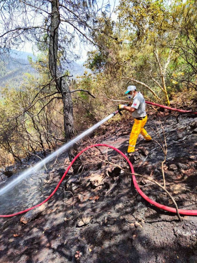Ateş kahramanları canla başla mücadele veriyor