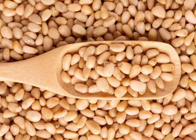 Çam ağaçlarından adeta dolar yağdı