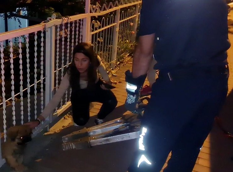 Demir parmaklıklara sıkışan köpeği itfaiye kurtardı