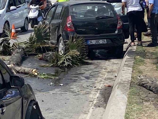 Direksiyon hakimiyetini kaybetti ağaçları devirerek karşı şeride uçtu