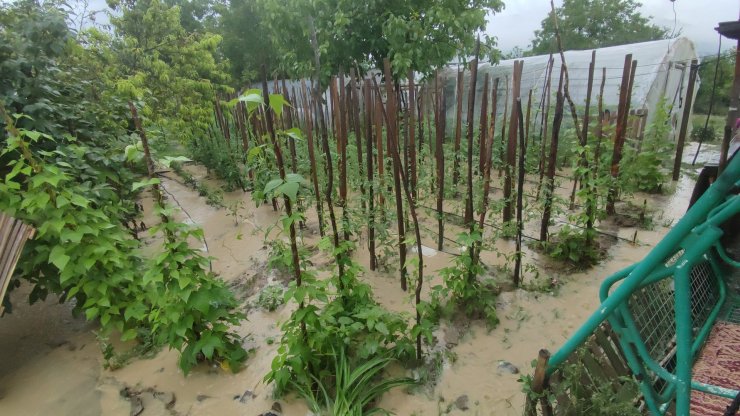 Karabük'te dereler taştı, tarım alanları zarar gördü