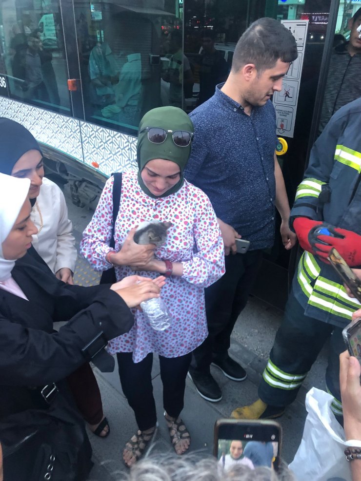 Konya'da tramvayın motor kısmına sıkışan yavru kedi kurtarıldı