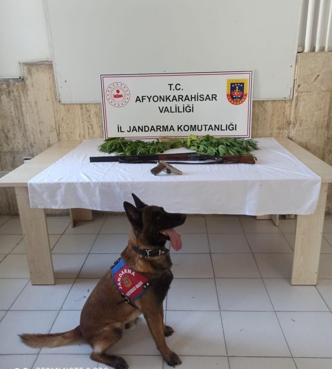 Köy evlerine uyuşturucu baskını