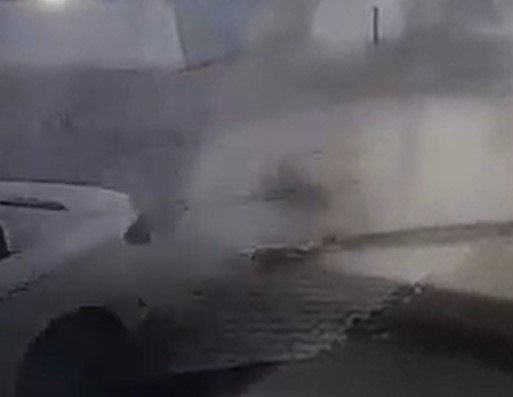 Aracını üzerine sürdüğü iki kediden birini telef etti