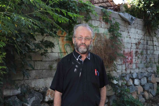 Aracını üzerine sürdüğü iki kediden birini telef etti