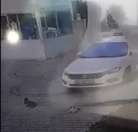 Aracını üzerine sürdüğü iki kediden birini telef etti