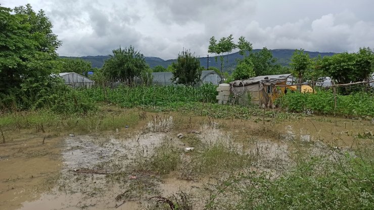 Bakan Kirişci'den selin vurduğu Zonguldak'ta inceleme