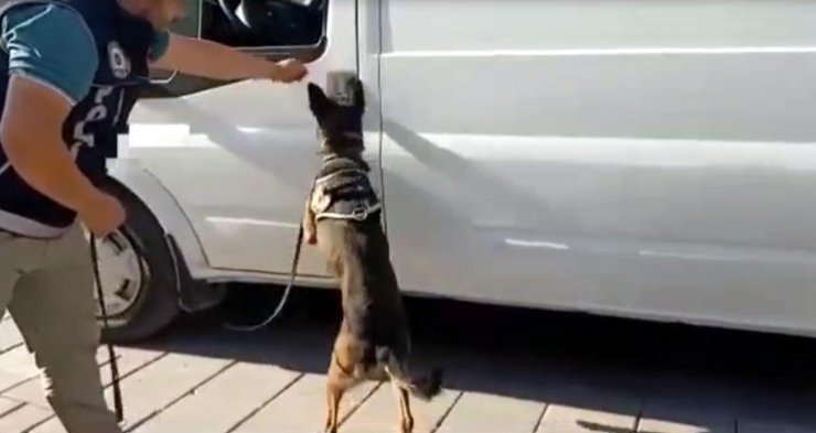 Bakan Soylu'nun duyurduğu uyuşturucu operasyonunda 4 tutuklama