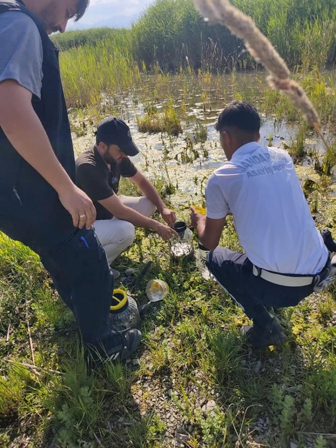 Beyşehir Gölü’nde sülük avcılarına ceza yağdı