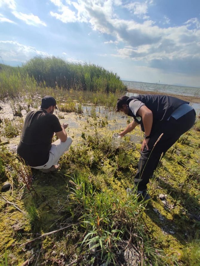 Beyşehir Gölü’nde sülük avcılarına ceza yağdı