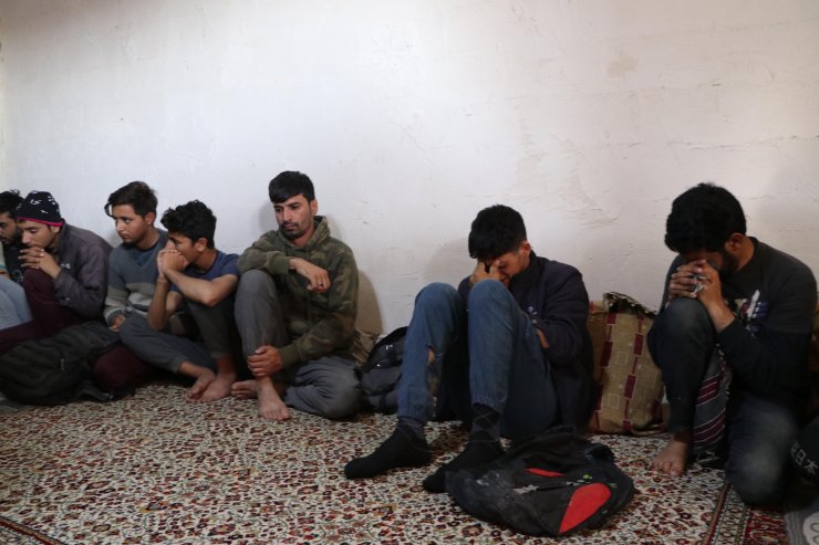 Van'da, Afganistanlı 20 kaçak göçmen yakalandı