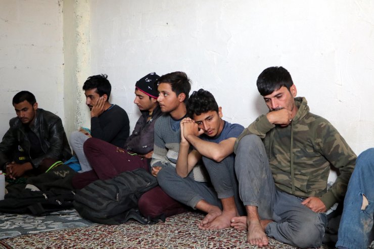 Van'da, Afganistanlı 20 kaçak göçmen yakalandı