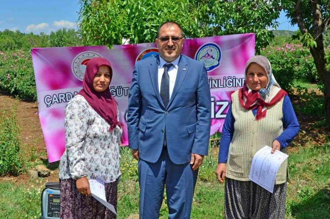 Yağlık gül hasadı başladı