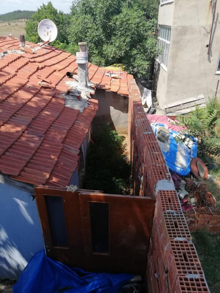 Evlerin bahçesini kenevir tarlasına çeviren 2 kişiye tutuklama