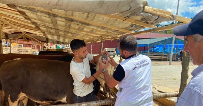 Küpesiz ve pasaportsuz hayvanlar pazara alınmıyor