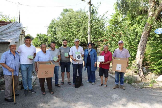 Narenciye ve nar ağaçlarını avcı böcek koruyacak