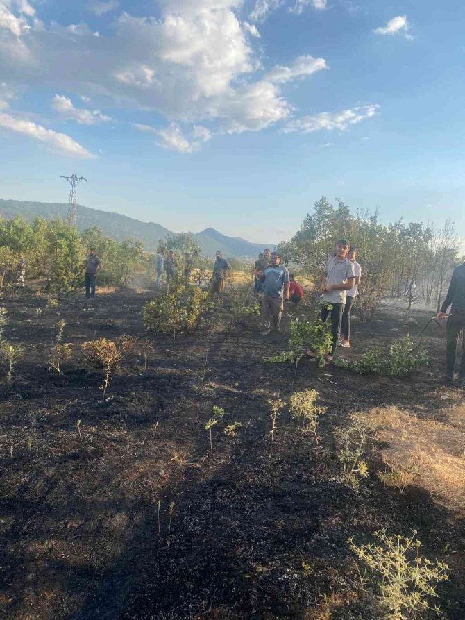 Ormanlık alanda çıkan yangın büyümeden söndürüldü