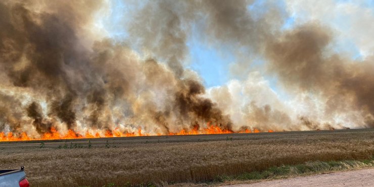 400 dekar buğday tarlası yandı