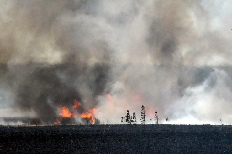 400 dekar buğday tarlası yandı