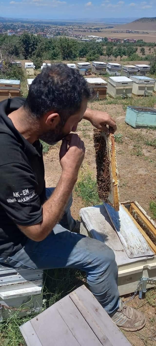 Arıcılara ekipman desteği