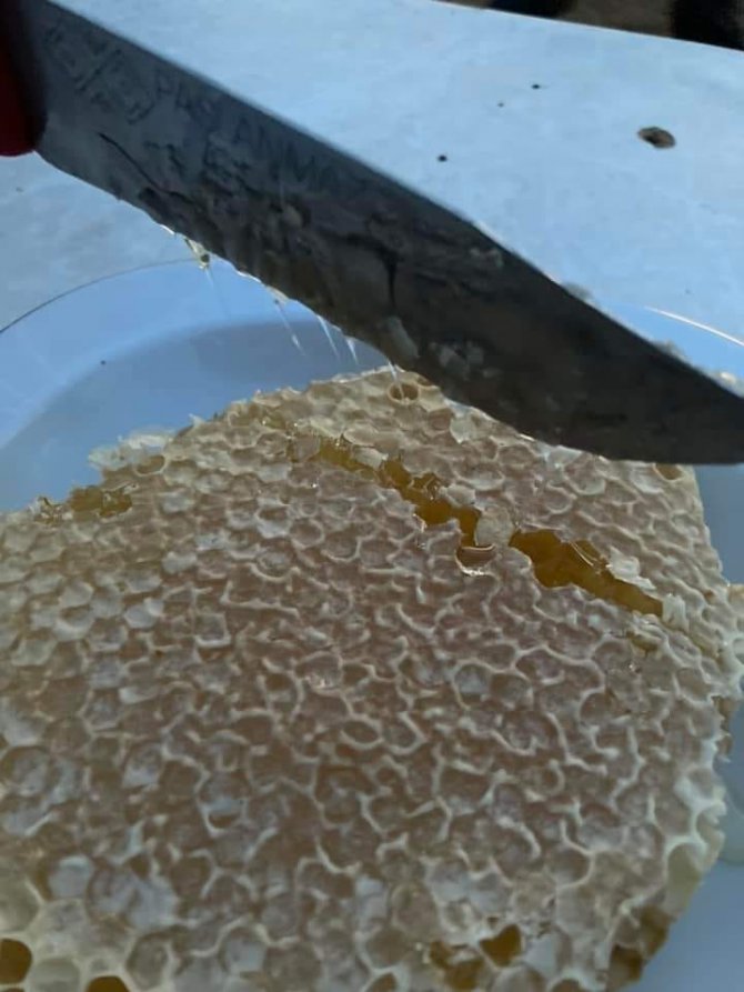 Arıcılara ekipman desteği