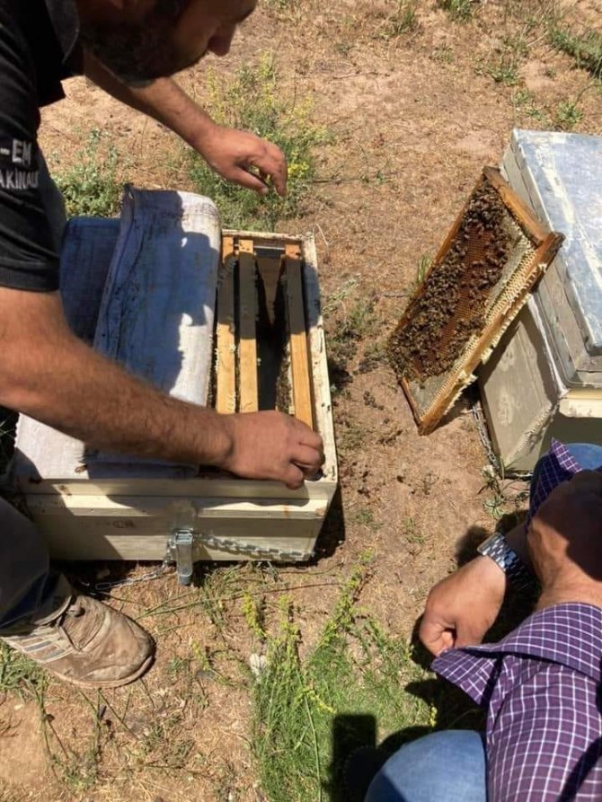 Arıcılara ekipman desteği