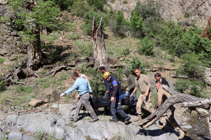 Hayvanlarını götürdüğü arazide ayı saldırısında öldü