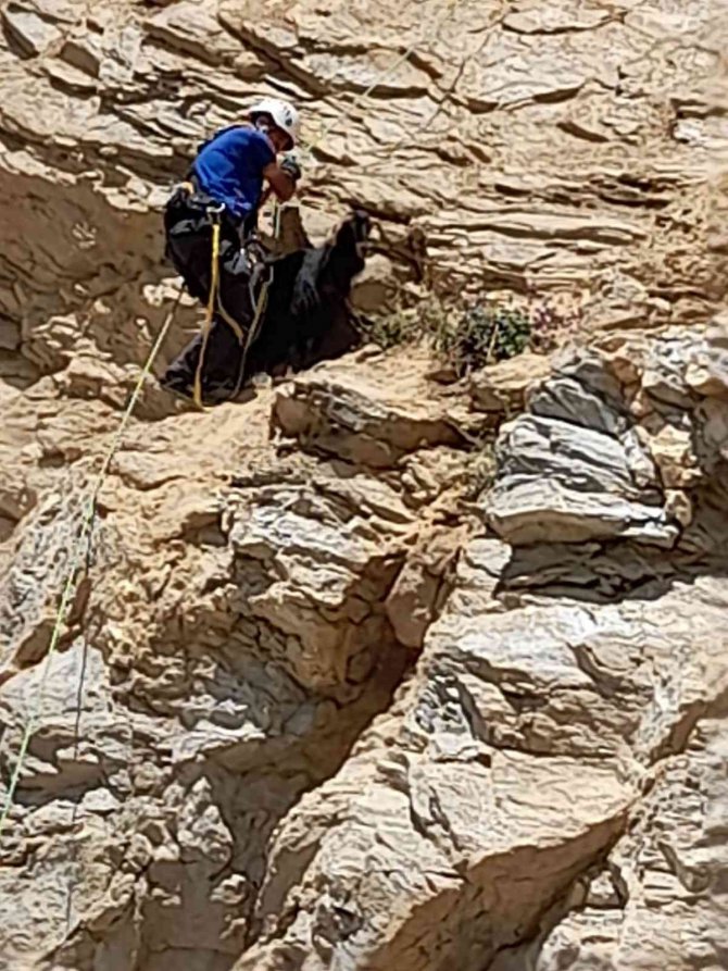 Kayalıklarda mahsur kaldı 4 gün sonra kurtarıldı