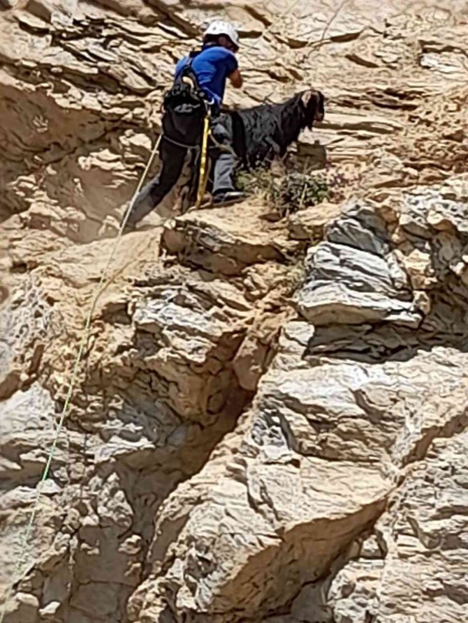 Kayalıklarda mahsur kaldı 4 gün sonra kurtarıldı