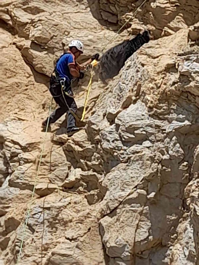 Kayalıklarda mahsur kaldı 4 gün sonra kurtarıldı