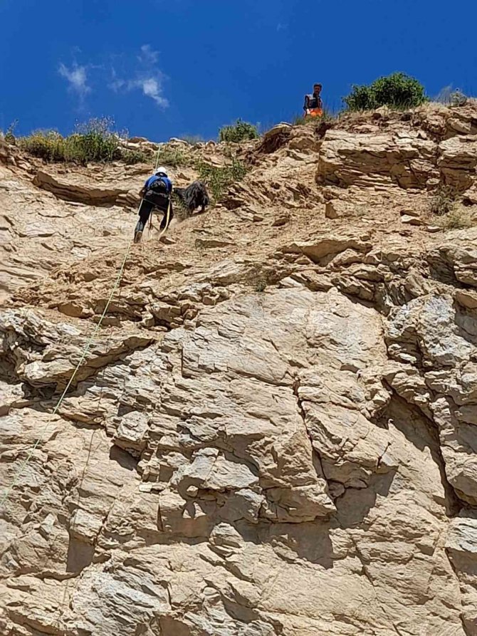 Kayalıklarda mahsur kaldı 4 gün sonra kurtarıldı