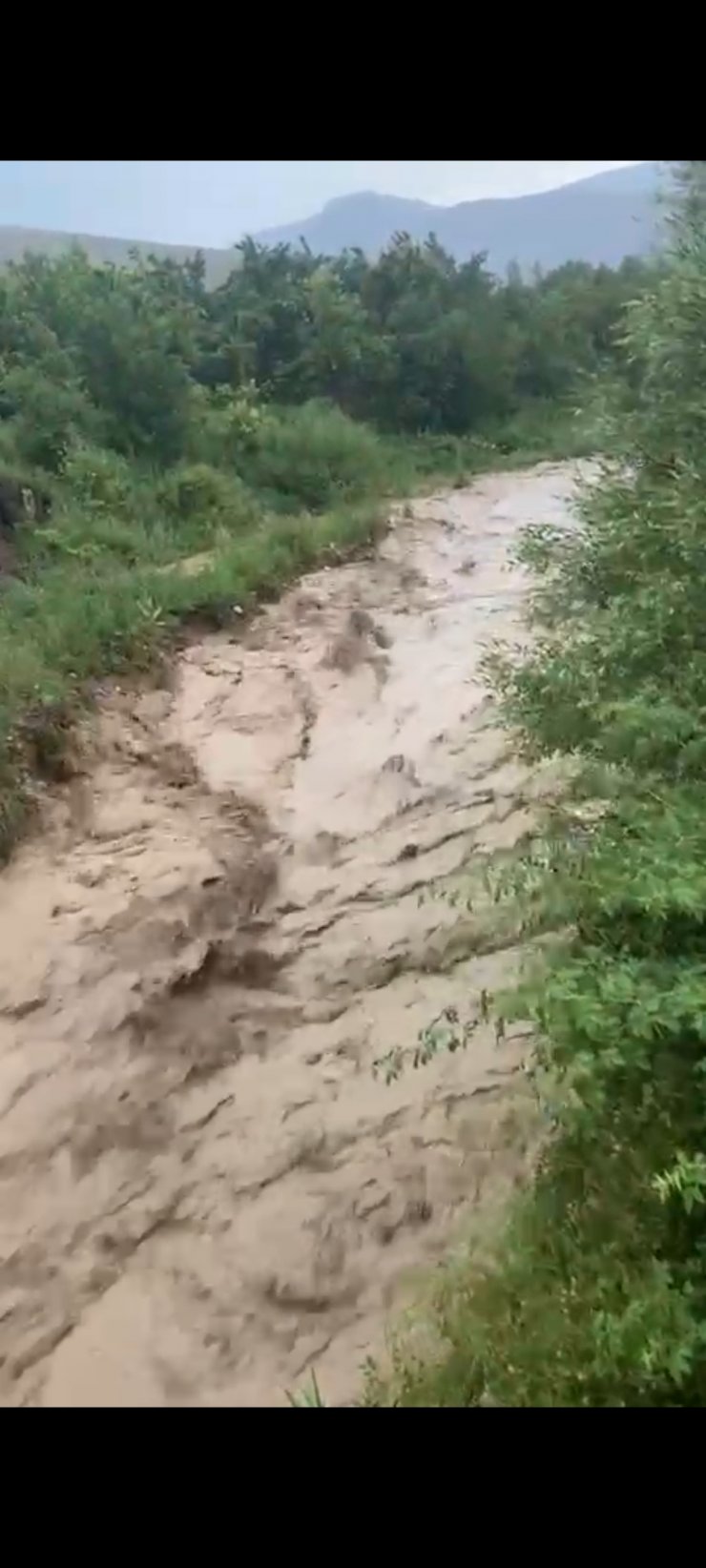 Niğde'de şiddetli sağanak; dereler taştı