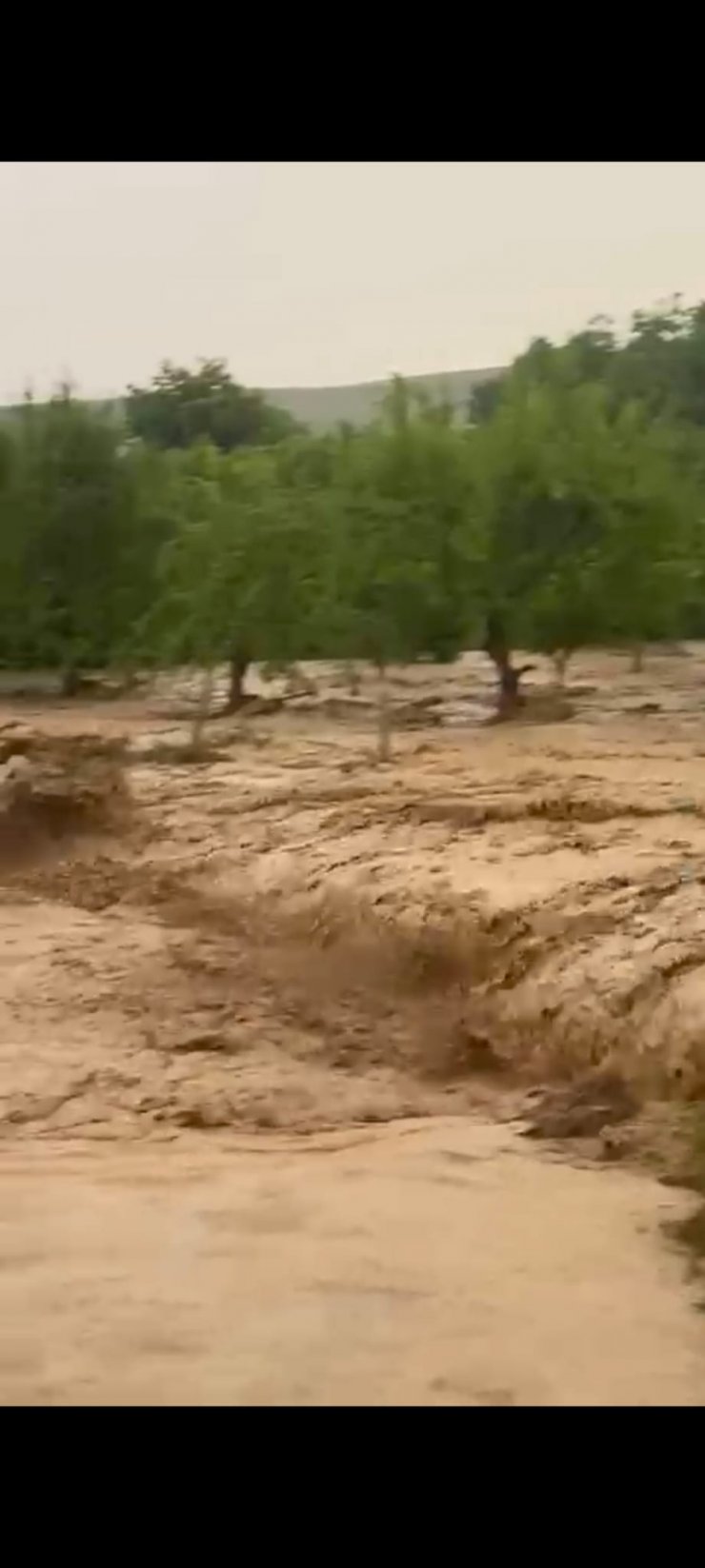 Niğde'de şiddetli sağanak; dereler taştı
