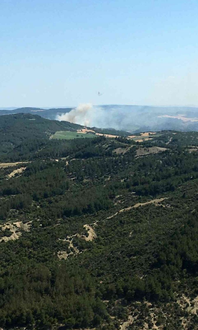 Orman yangını büyümeden söndürüldü