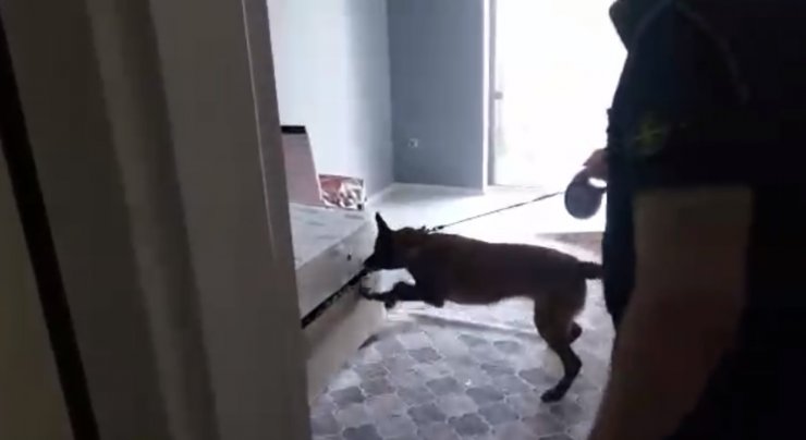 Ankara'da uyuşturucu operasyonu: 3 gözaltı