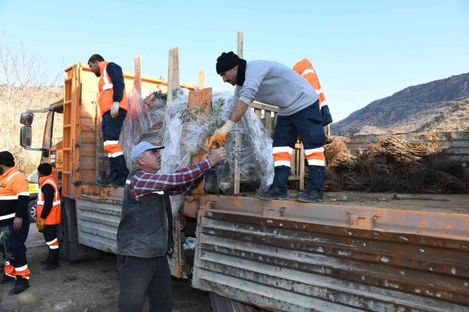 Başkan Altay açıkladı, tarımsal destek başvuruları başladı