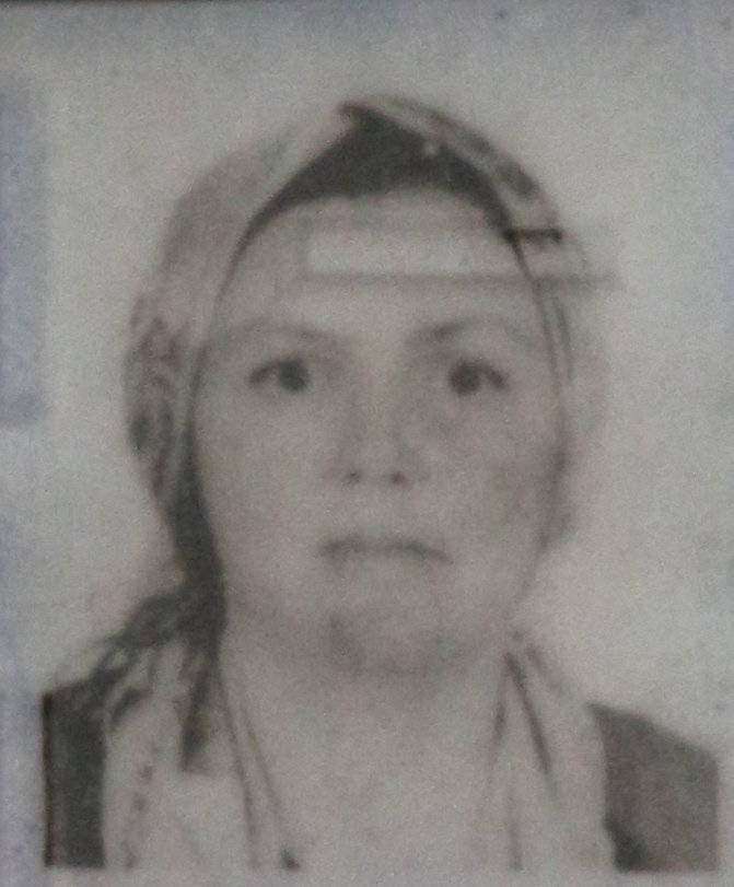 Engelli oğluyla yolun karşısına geçmeye çalışırken, minibüs çarpmasıyla öldü