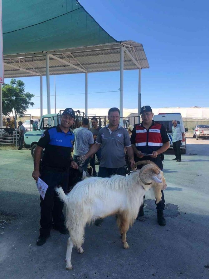 Hayvan satıcıları dolandırıcılara karşı bilgilendirildi