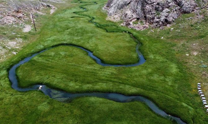 Her yerde yaz, orada bahar