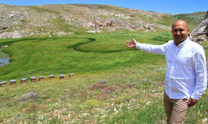 Her yerde yaz, orada bahar