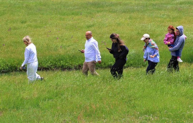 Her yerde yaz, orada bahar