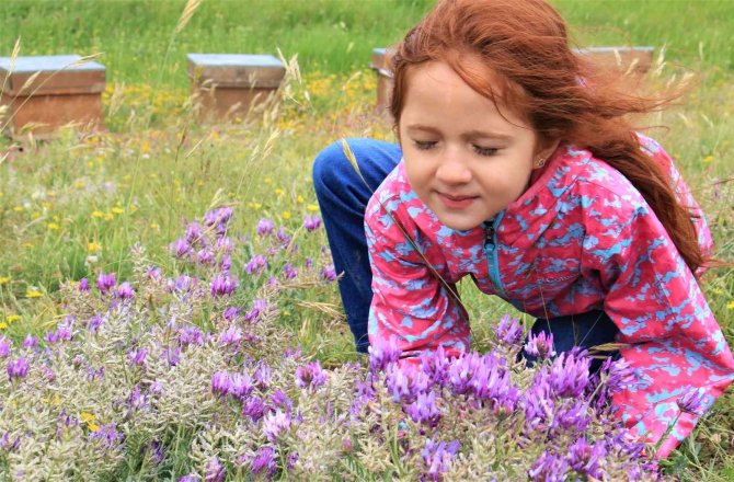 Her yerde yaz, orada bahar