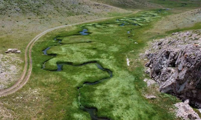 Her yerde yaz, orada bahar