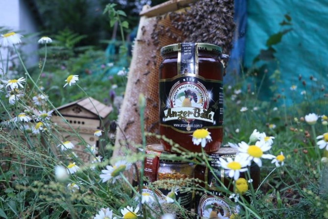 Dünyaca ünlü Anzer balının fiyatı 2 bin TL oldu