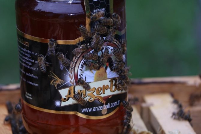 Dünyaca ünlü Anzer balının fiyatı 2 bin TL oldu