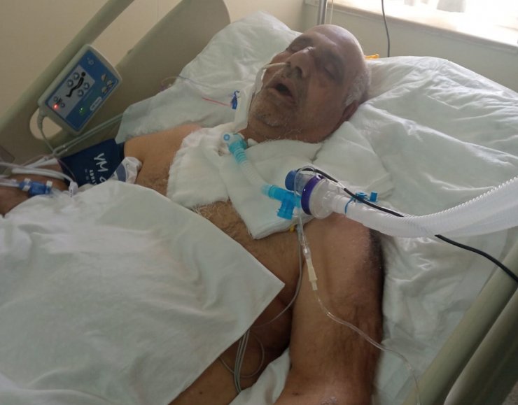 Köpeklerin saldırısına uğramıştı; 54 günlük yaşam mücadelesini kaybetti