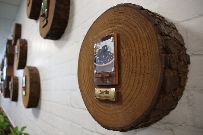 Öğrenciler "Tohum Kütüphanesi"yle ata tohumlarını geleceğe taşıyor