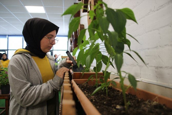 Öğrenciler "Tohum Kütüphanesi"yle ata tohumlarını geleceğe taşıyor